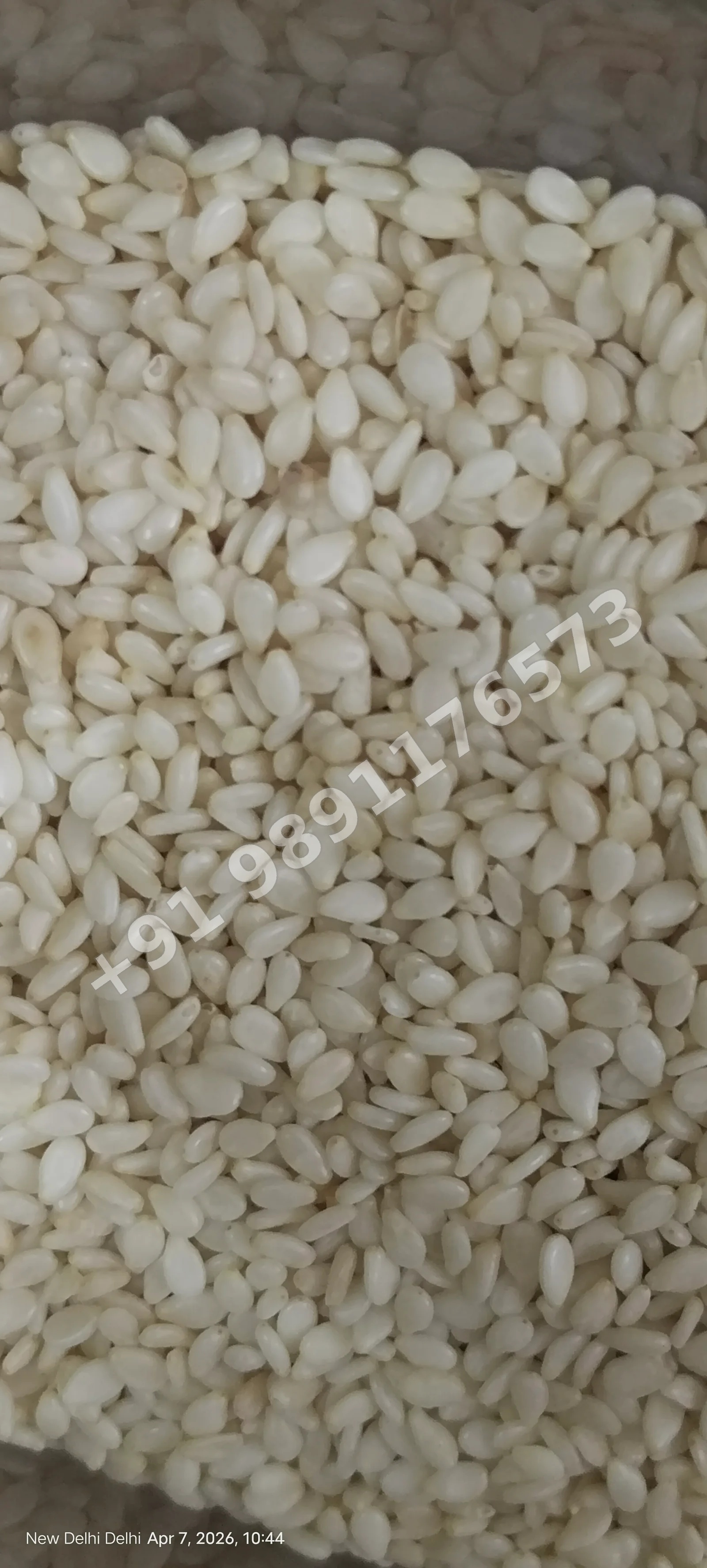White Sesame Seeds (white Til)